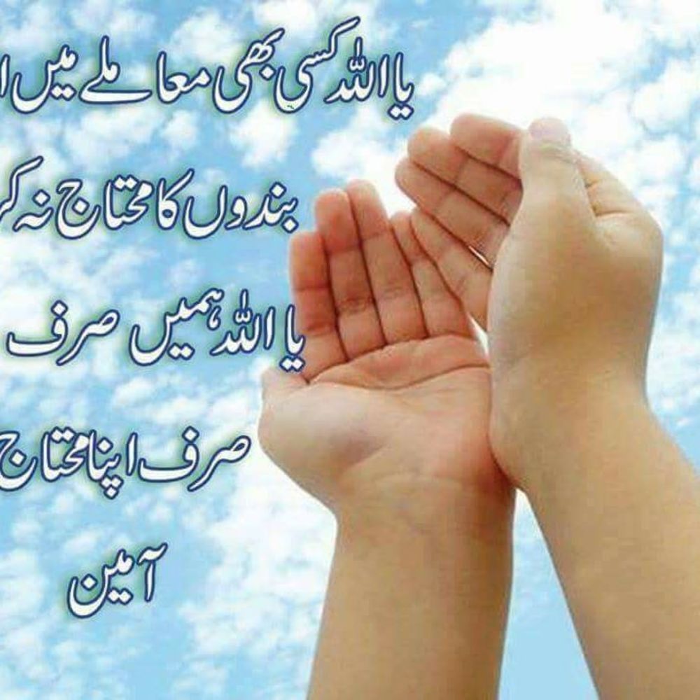 Meet your Posher, Mona